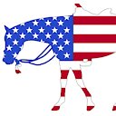 patriothorse