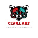 clvr_labs