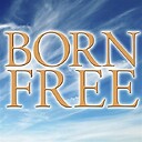 BornFreeWilliAm