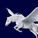 CPegasus