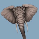 ElephantMan007