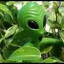 Alienvic61