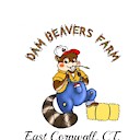 TrapperBeaver
