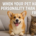 AnimalsCracksMeUp