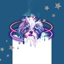 DogsAMAZING