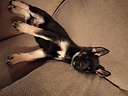 Skip_Hale