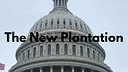 thenewplantation