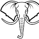 Pachyderm