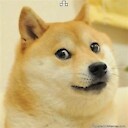 FunnyAnimalsR