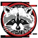 RaccoonMedicine