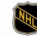 NHLvideoplayer91
