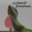 lizzardscrotum