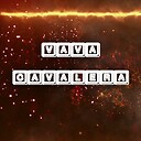 vavacavalera