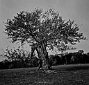 aerricomediallc