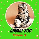 AnimalZoo123