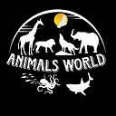 Animalsbeautyworld