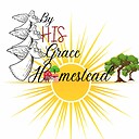ByHisGraceHomestead