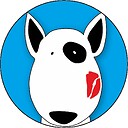 Amoreanimale