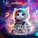 elonxcat
