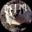 TheMOMMABadger