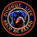 Doggyzlife01