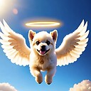 Cute_Angel_Pets