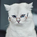 awbbix