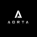 aorta_inc