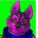 purplewolf