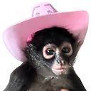 TheMonkeyChannel