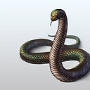 TheSnake0