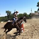 ottb_barrelracer