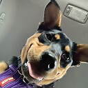 melaniethemusician