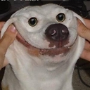 MEMOZ1