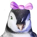 PingyBird