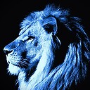 lionsglare