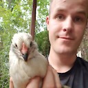 ChickenDaddy1