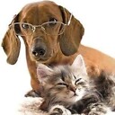 AnimalsDoingTheirThing