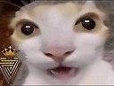 Saif06