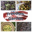 FreedomgardenerQ