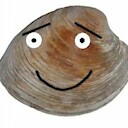 AlabasterClam