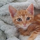 littlevalleyacresfarm