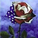 TheAmericanRose