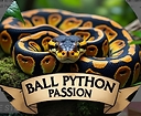 BallPythonPassion