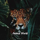 animalworld1122