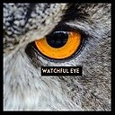 WatchfulEyeVA