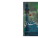syedmohsankazmi5