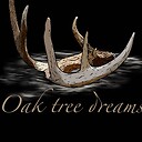 OakTreeDreams