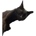 JavaHot