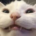 jinluh